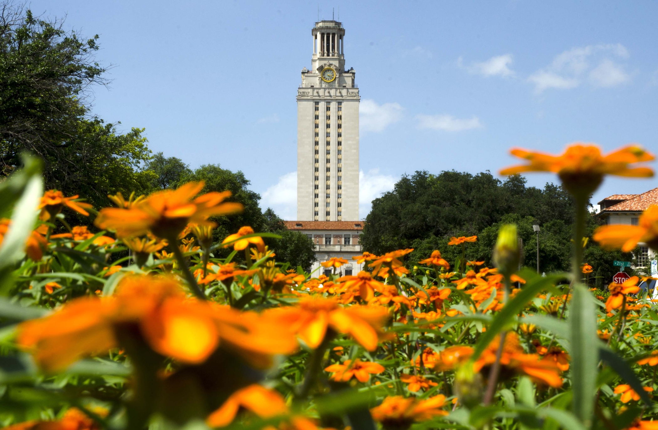 A view of the UT Tower with orange flowers